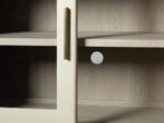 Halima Cabinet