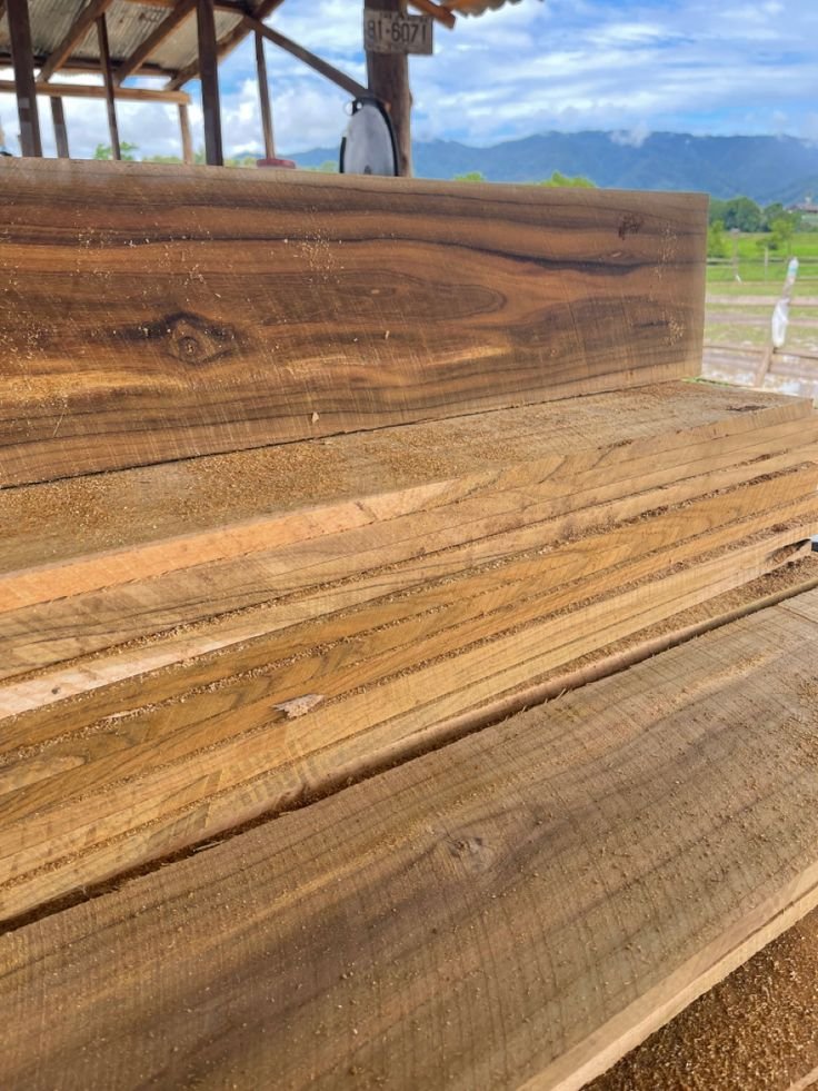 teak wood